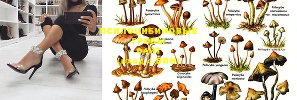 дурь Балабаново